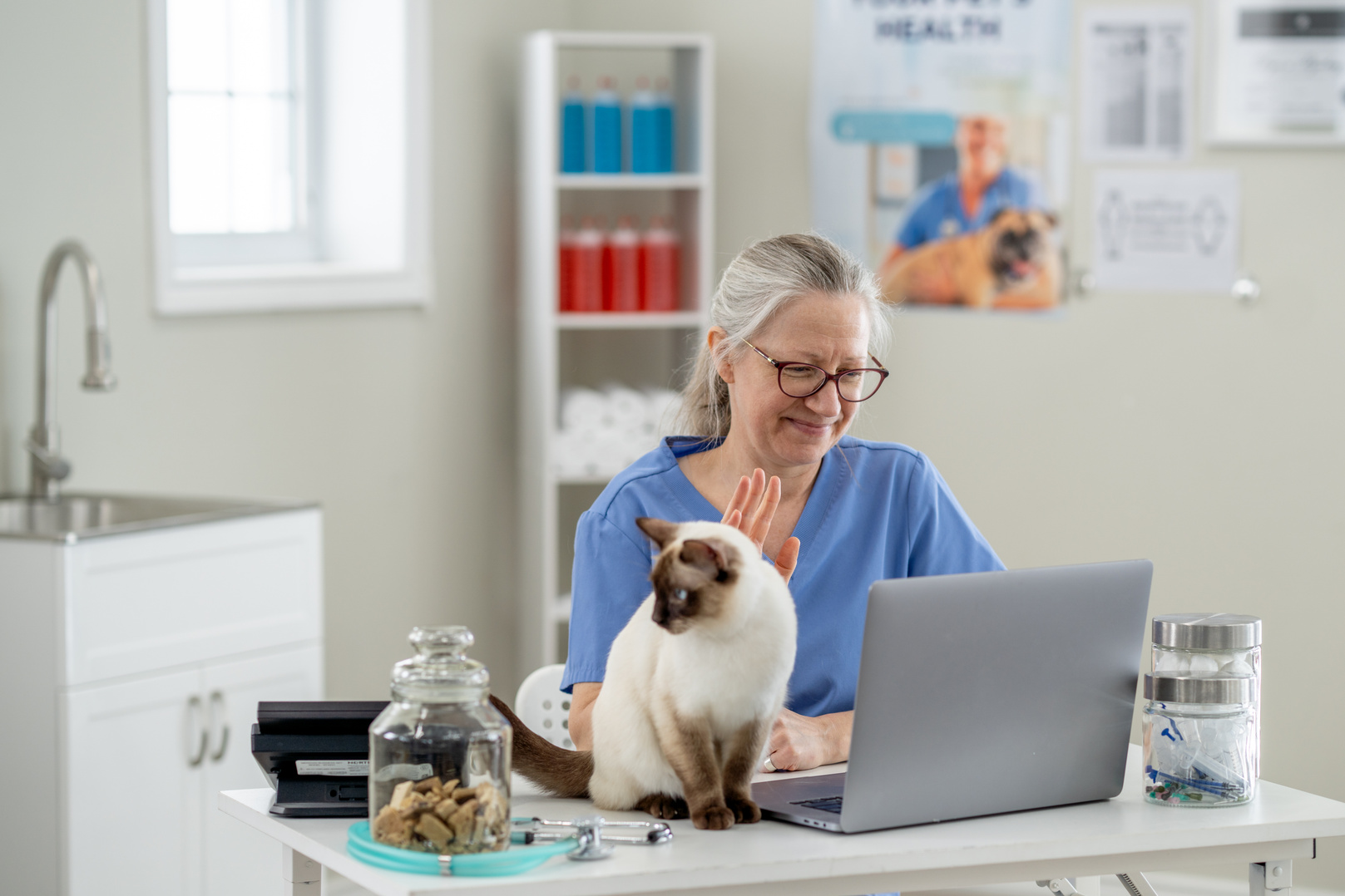 Virtual Veterinary Appointment